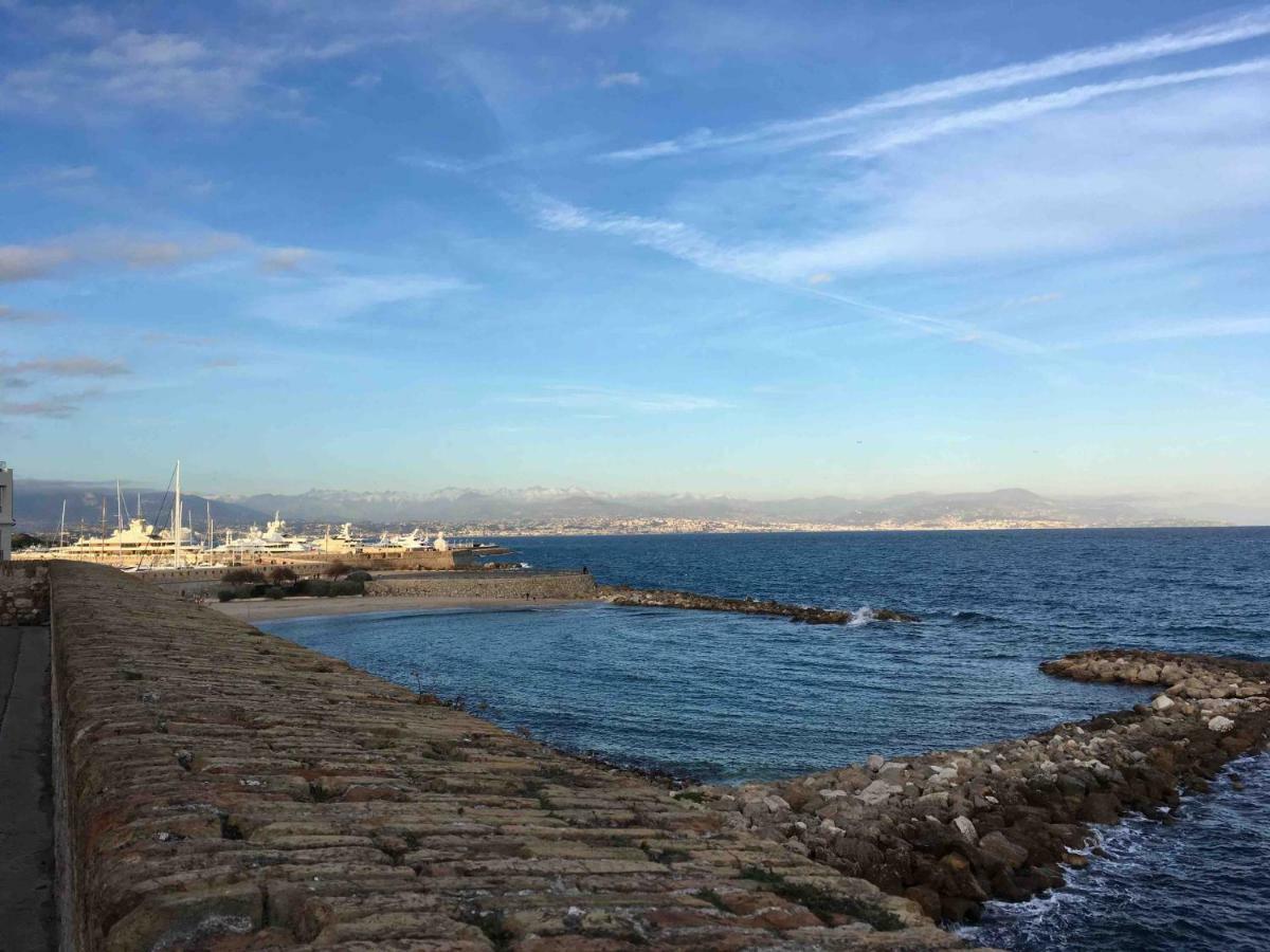 Beautiful One-Bedroom Apartment - Picasso 2 - Stayinantibes Esterno foto